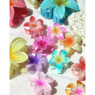 Kẹp tóc Hawaii hình hoa bằng nhựa Acrylic