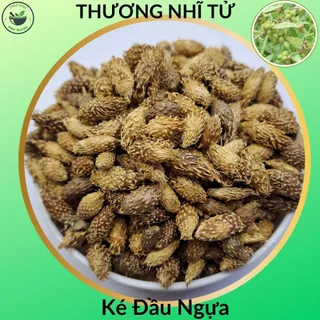 Thương Nhĩ Tử (Ké Đầu Ngựa), Túi 100g, trái bỏ gai sấy khô