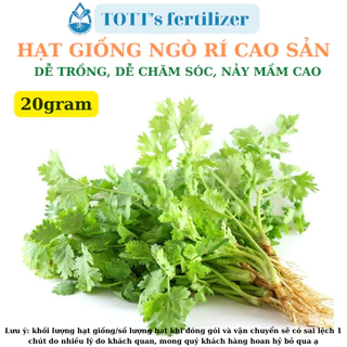 Hạt Giống ngò rí cao sản khối lượng 20gr dễ trồng TOTT's fertilizer