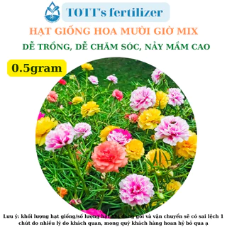 Hạt giống Hoa mười giờ Mix màu khối lượng 0.5gr dễ trồng TOTT's fertilizer