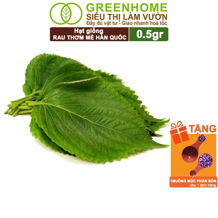 Hạt Giống Rau Thơm Mè Greenhome, Gói 0.5g, Dễ Trồng, Nảy Mầm Cao, Thu Hoạch Nhanh, Năng Suất Cao R17