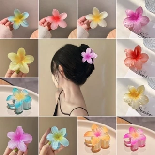 Kẹp tóc hoa sứ càng cua đẹp cho nữ đẹp hottrend nhiều màu sắc phong cách Hawaii, cặp búi tóc cute