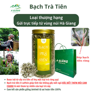 Bạch trà tiên cổ thụ thơm mạnh ít caffein tỉnh táo không mất ngủ, Bạch trà tiên cổ thụ Hà Giang hộp 200gr