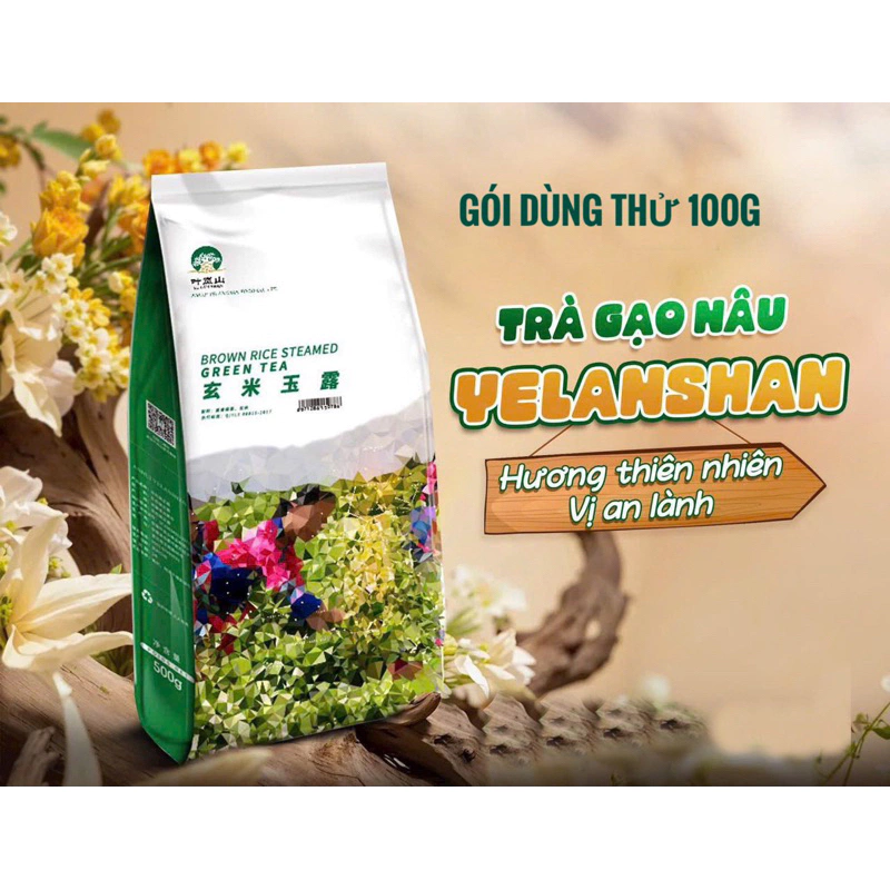 Trà Gạo Nâu Yelanshan Trà Gạo Rang Đài Loan gói dùng thử 100G