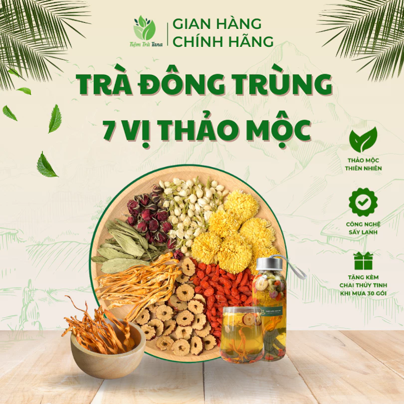 Trà đông trùng 7 vị thảo mộc Tana thanh nhiệt thải độc, đẹp da, dễ ngủ, ăn ngon