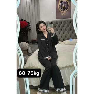 BIGSIZE 60-75kg BỘ LỤA XƯỚC ÁNH KIM VIỀN  DD