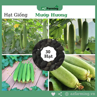 Hạt Giống Mướp Hương - Gói 30 Hạt - AZ Farming