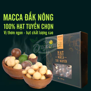 [Hộp 500g] Hạt macca Tây Nguyên nứt vỏ đã rang chín chuẩn sạch cho bà bầu, ăn kiêng, giảm cân