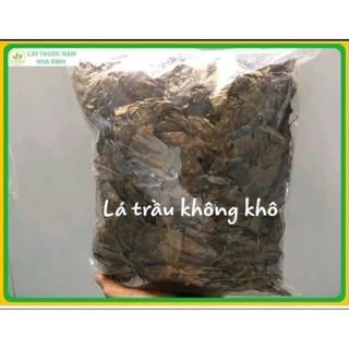 1Kg Lá Trầu Không Ta phơi khô, se khít kháng khuẩn cho mẹ sau sinh