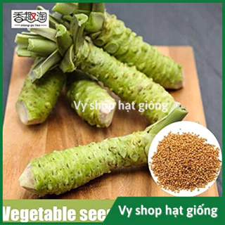 Hạt giống mù tạt Wasabi nguyên gói 500 hạt nội địa Trung