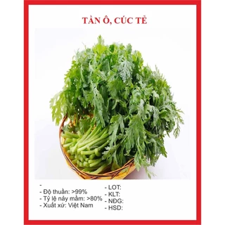 Hạt giống rau tần ô, cúc tẻ (20 gram) - chịu nhiệt tốt, cho năng suất cao