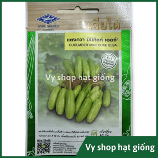 Hạt giống dưa chuột chùm trắng (dưa leo chùm tự thụ phấn) gói 4-6 hạt nhập Thái Lan