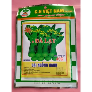 Hạt giống cải ngồng xanh 40g