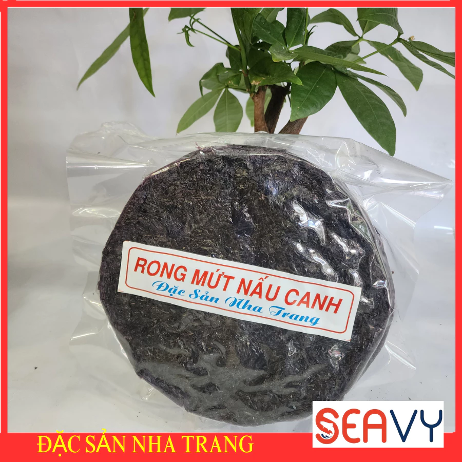 Rong Biển nấu canh Nha Trang chế biến nhiều món ăn ngon Gói 100g
