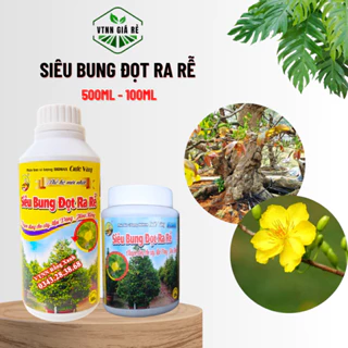 PHÂN BÓN SIÊU BUNG ĐỌT RA RỄ - MUA 3 TẶNG 1 CÙNG LOẠI - KÍCH RẼ, BUNG CHỒI, MẬP ĐỌT, XANH CÂY MAI VÀNG