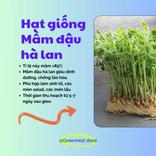 Hạt Giống Mầm Đậu Hà Lan Xanh Tươi Hữu Cơ 50gram