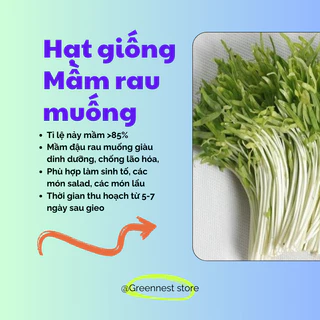 Hạt Giống Trồng Mầm Rau Muống Xanh Ngon Đậm Vị 100g