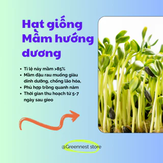 Hạt Giống Trồng Mầm Hướng Dương Xanh Thơm Ngậy 20gram