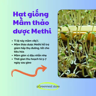 Hạt Giống Mầm Thảo Dược Methi 20g