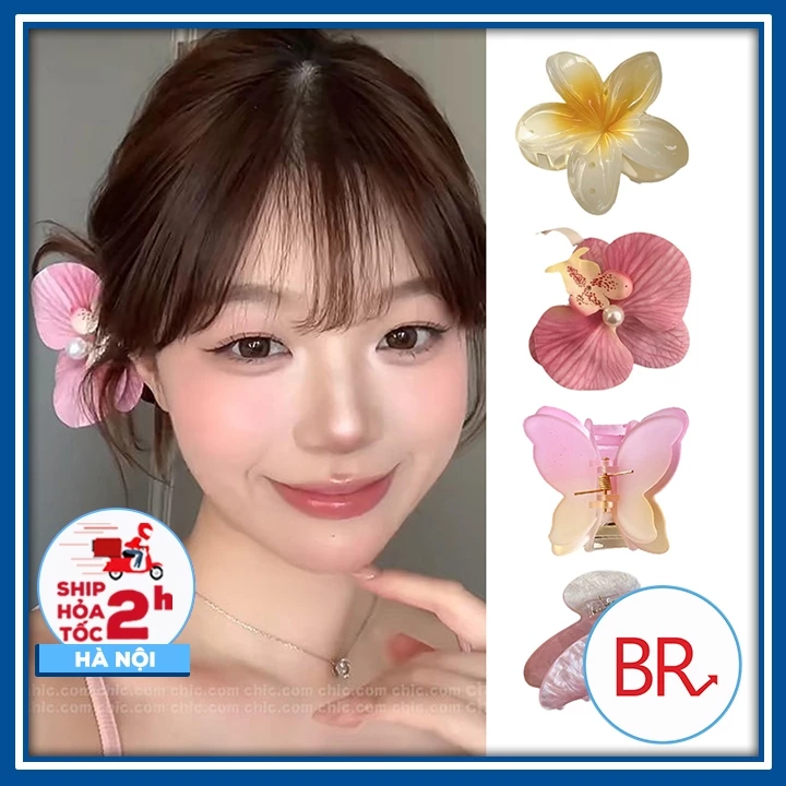 Các loại kẹp tóc hoa sứ Bauhinia màu pastel thạch hottrend Kẹp tóc hoa lan hồ điệp kẹp hình bướm phụ kiện tóc nữ đi biển