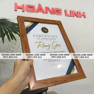 Khung Hình A4 A3 Treo Bằng Khen Hoa Văn Cổ Điển - Mặt Mica Đẹp Sang Trọng ( có xuất VAT)