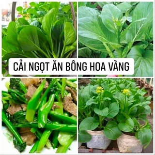 Hạt giống Cải Ngọt Ăn Bông 20g Trang Nông