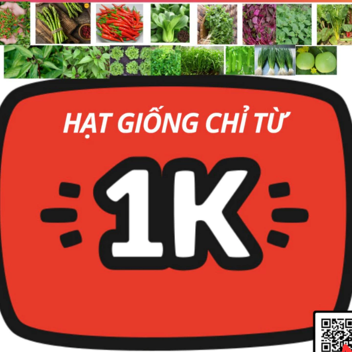 Hạt giống rau củ quả giá 1k chịu nhiệt, nảy mầm tốt