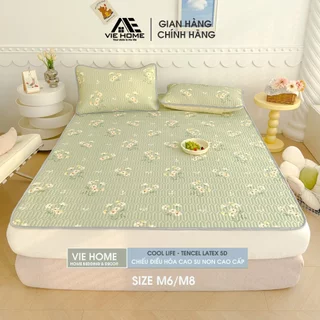 Chiếu điều hòa cao su non Tencel Latex 5D nhập khẩu cao cấp MD.DECOR - BEDDING kích thước M6 M8