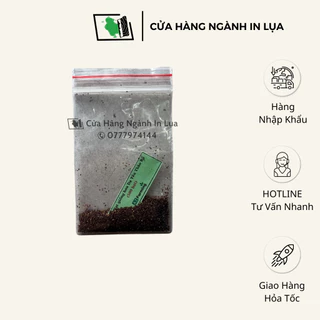 Hạt Giống Hoa Dạ Yến Thảo Rủ - Gói 500 Hạt