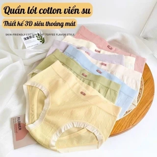 Quần cotton viền ren- Set 10 quần cotton nhăn chất mịn đẹp