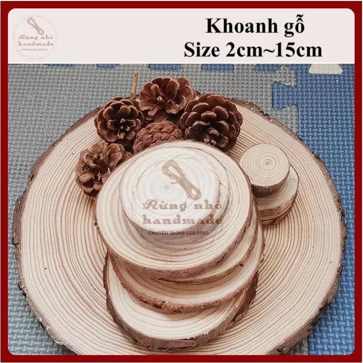 Khoanh gỗ thông, đường kính 2cm~15cm, loại đẹp, khoanh gỗ tròn, làm trang trí, decor, handmade, cây thông noel