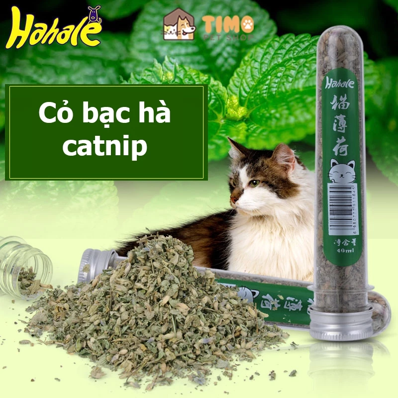 Cỏ Bạc Hà Catnip Cho Mèo