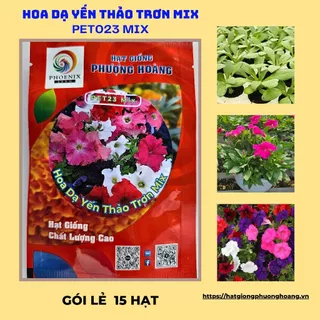 Hạt giống hoa Dạ yến thảo trơn mix màu