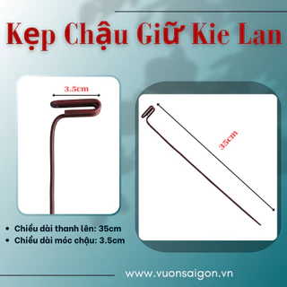 Kẹp chậu giữ kie lan giúp kei nằm yên và cố định trên mặt chậu, màu ngẫu nhiên (Green City)