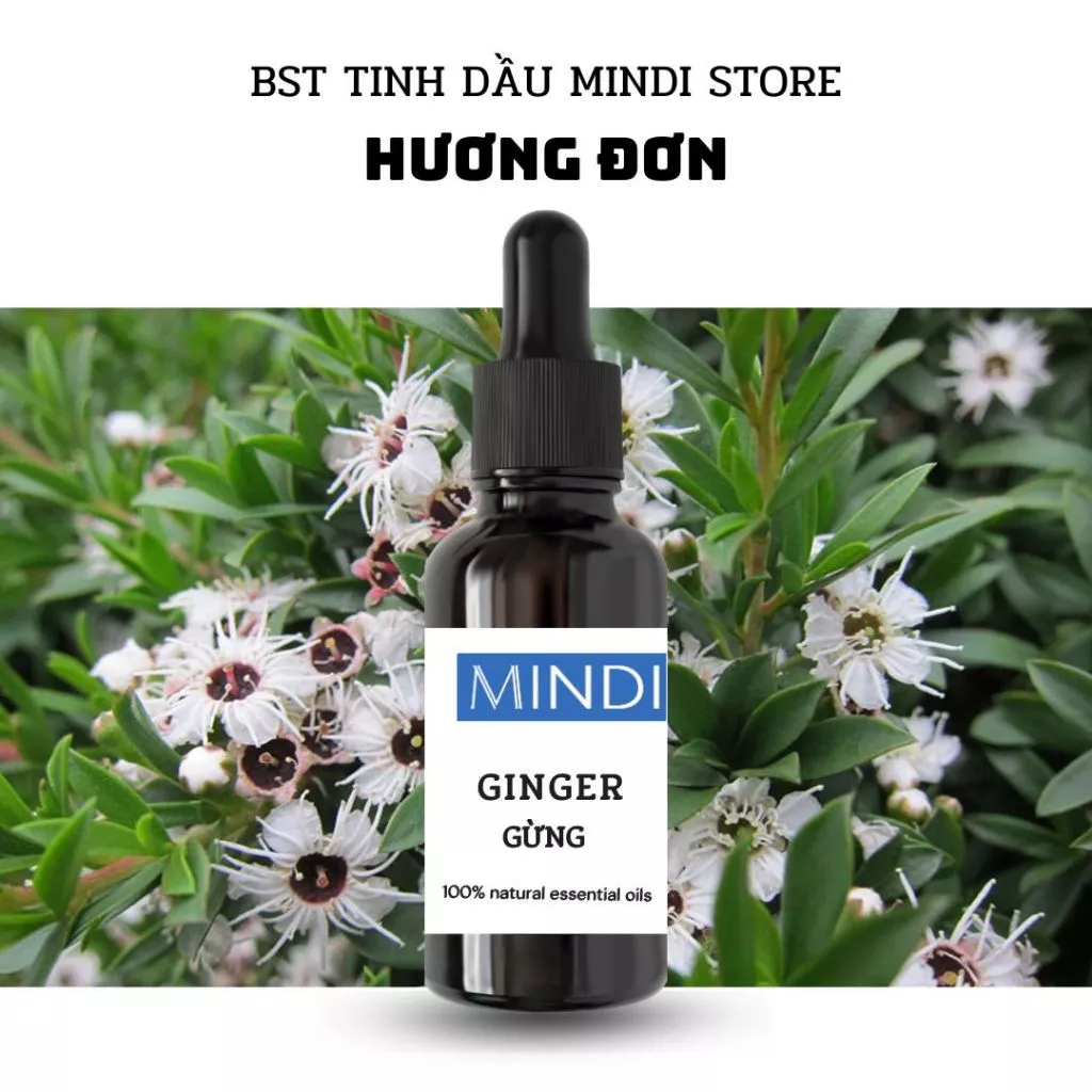 Tinh dầu thiên nhiên Nhóm 17 Hương Đơn - MINDI Essential Oil