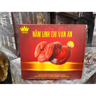 Nấm Linh Chi Vạn An