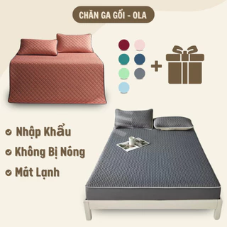 Chiếu điều hòa cao su non chiếu 3D tencel latex nhập khẩu 1m6x2m 1m8x2m 2m2x2m