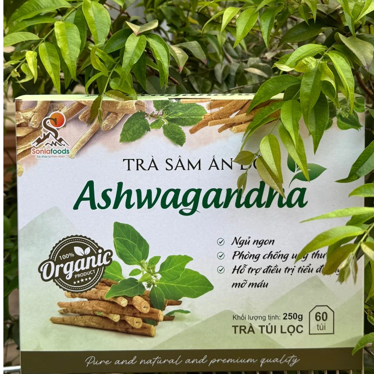 [250g/80 túi lọc] Trà nhân sâm Ấn độ Ashwagandha, an thần, ngủ ngon, chữa tiểu đường, mỡ máu, phòng chống ung thư