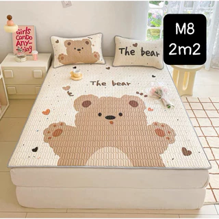 Set chiếu điều hoà cao su non latex 5D IGUN BEDDING hoạ tiết disney hot hit cực kì dày dặn