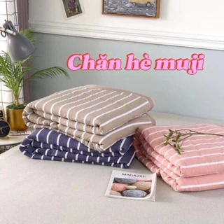 Chăn Đũi Hè Thu Muji Cotton Poly Kẻ Sọc - êm mềm thoáng mát 1m2x2m - Mẫu Mới 2022