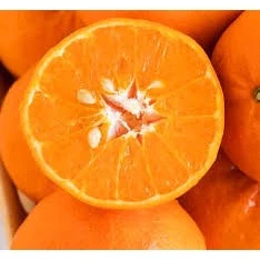 (1kg) {Thanh Fruit -Hỏa Tốc} Quýt Úc Siêu Ngọt Mọng Nước