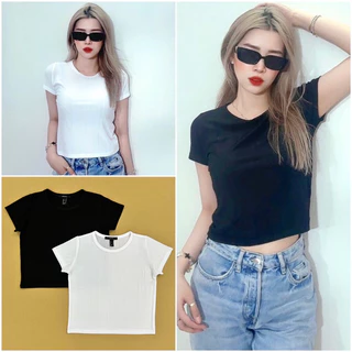 Áo croptop, cổ tròn, thun po gân lụa mịn màng 2 màu