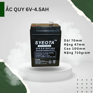 [Ắc Quy Mới 100%] Ắc Quy Điện 6V 4.5A Dành Cho Xe Điện, Ô Tô Trẻ Em Bảo