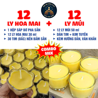 Combo Mix 12 Ly Hoa Mai + 12 Ly Múi Đầy Đủ Nguyên Liệu Làm Nến Bơ Cúng Phật, Đèn Bơ Cúng Dường