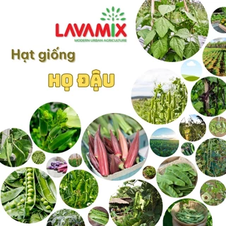 Hạt giống Họ Đậu hiệu Rạng Đông chịu nhiệt tốt, trồng quanh năm | Đất trồng cây Lavamix