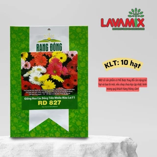Hạt giống Hoa Cúc Đồng Tiền Nhiều Màu Rd 827 (10 hạt) hiệu Rạng Đông trồng quanh năm | Đất trồng cây Lavamix
