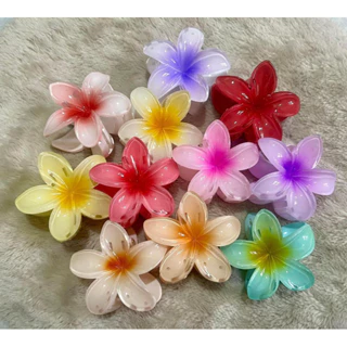 Kẹp Tóc Hoa sứ SUMMER VIBE Kẹp tóc hoa Nhiều Màu Sắc Phong Cách Hawaii