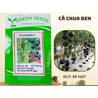 Hạt giống cà chua bi đen (30 hạt )