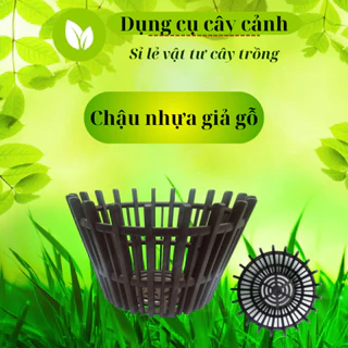 Chậu nhựa giả gỗ Hoa Lan Đông La chuyên trồng lan, độ bền cao, dễ dàng vận chuyển, nhiều size