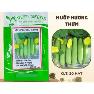 HẠT GIỐNG MƯỚP HƯƠNG SIÊU QUẢ GÓI 10 HẠT